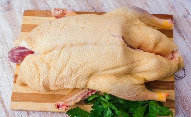 Гуси домашние молодые