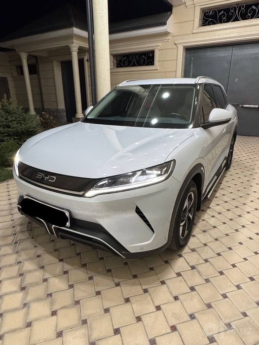 Byd yuan up 2025