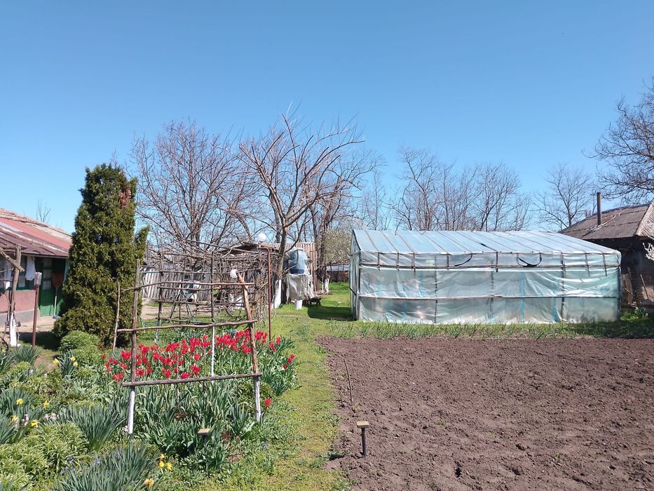 Casă bătrânească 45km de București