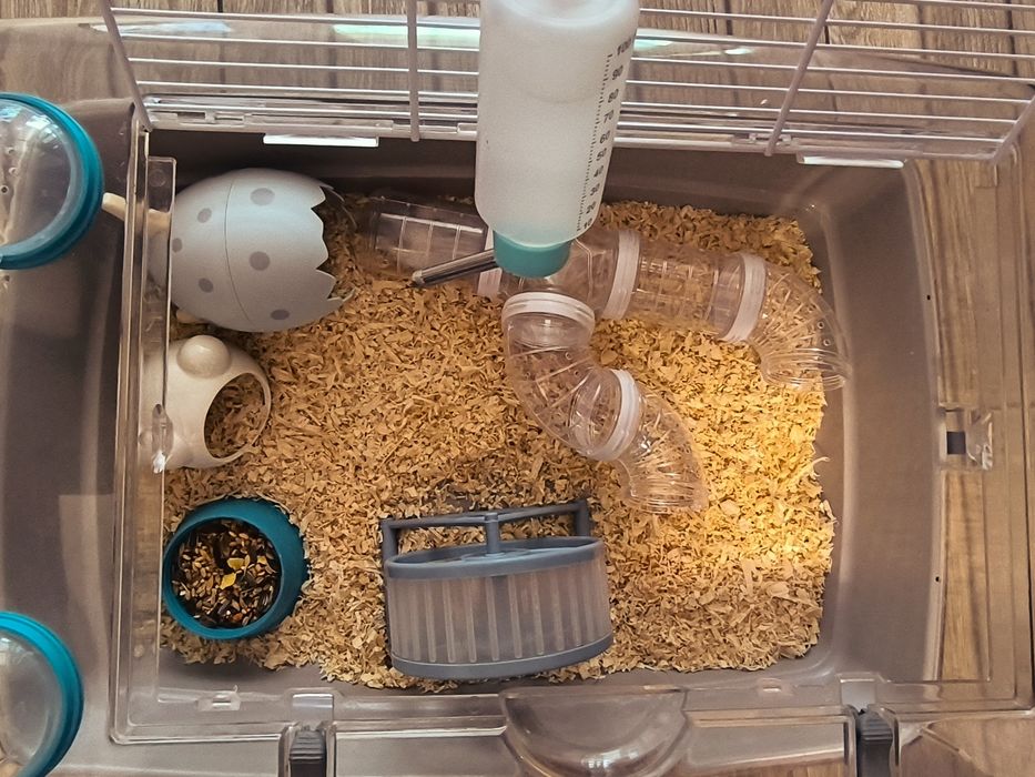 Hamster cu tot cu cușcă.