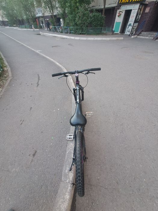Стант велик мтб.