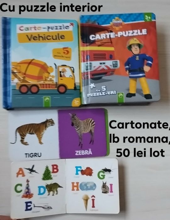 Lot cărți cartonate