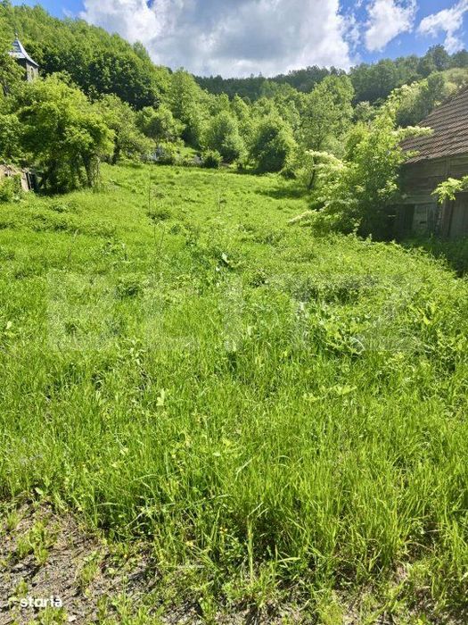Teren intravilan de vanzare, 1609 mp, zona Petresti