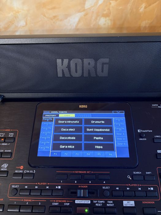 Korg pa4x+stativ+boxa pentru orga+husa!