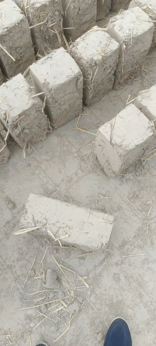 Loy blok Samarqand