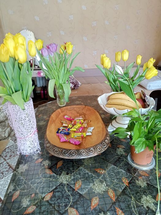 астау петропавловск ско табақ