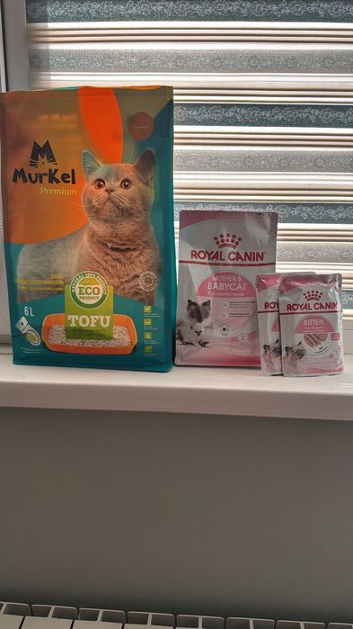 Котёнок продААам