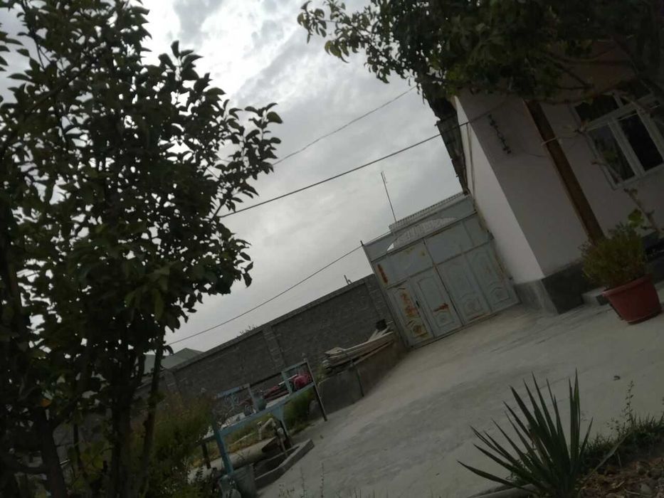 Сирдаре вилояти
Гулистон шахар
Нихол мфй уй сотилади