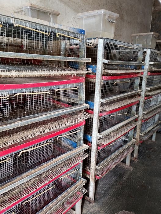 Клетка за пъдпъдъци 4 етажа