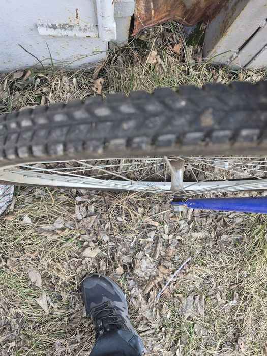 Велик гладиатор.