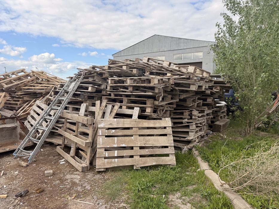 Продам дрова и палеты