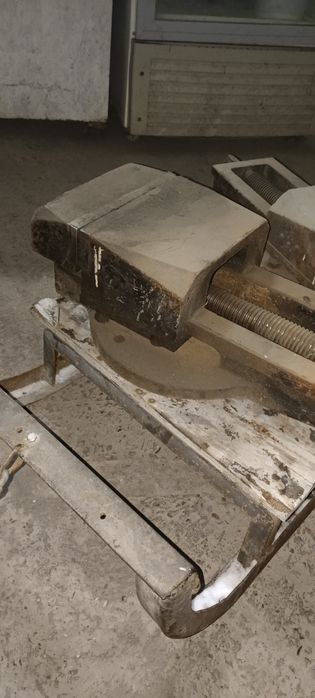 Тисы хорошие состояние