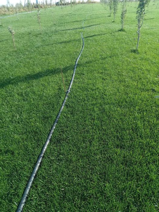 РУЛОННЫЙ ГАЗОН + доставка установка | Rulonli Gazon + yetkazib berish