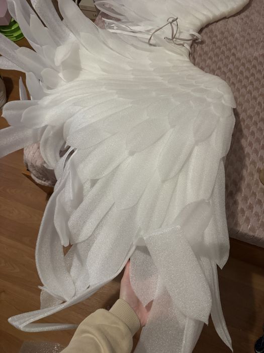 Aripi pentru sedinta foto