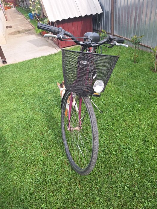 Bicicleta dama roti 26