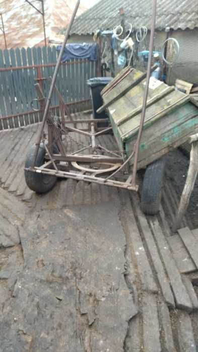 Cînd caruta ,ptr un cal