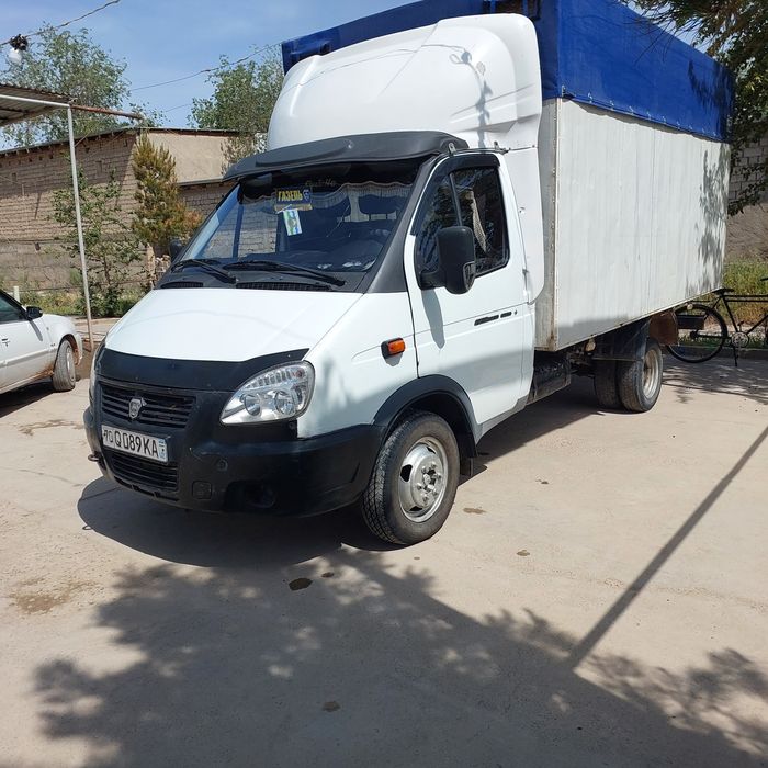 Gazel 2013 2 kurik yurgan