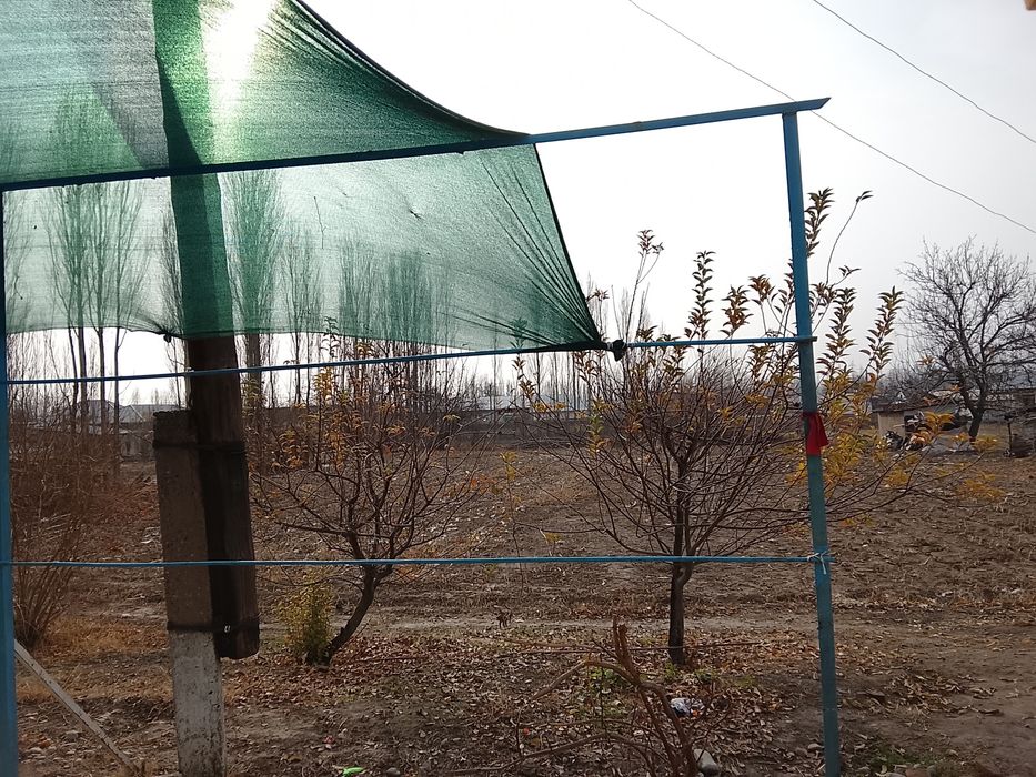 25 сотихли котта ховлимиза сотуга сикти