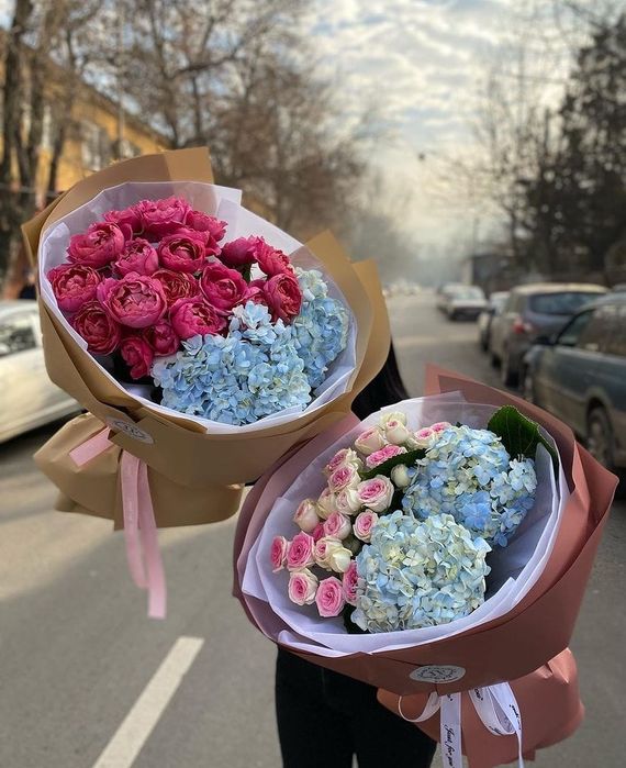 Голландицкии розы гортензия