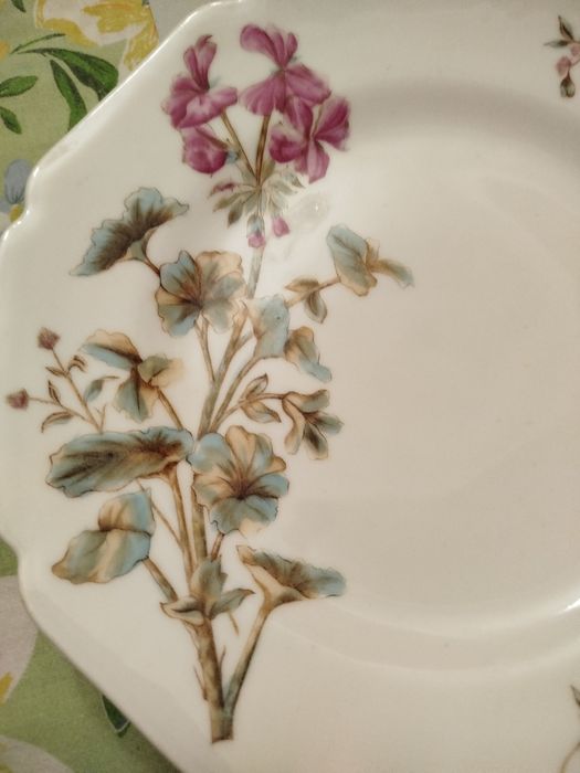 Номерные тарелки плющ советские