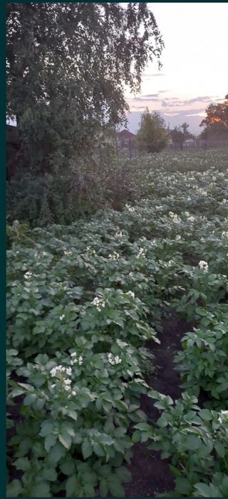 Продам участок земли