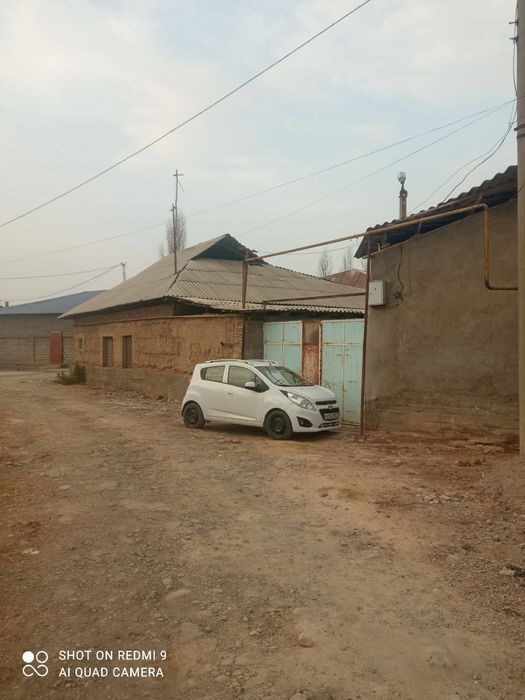 Nazrbek Sada Baliqch kochada