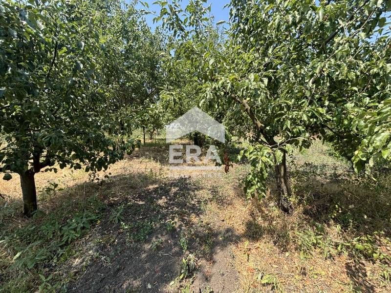 Ексклузивно!  Парцел  за продажба с партида за ток в село Момчилово, о