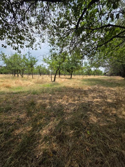 Teren intravilan Babana