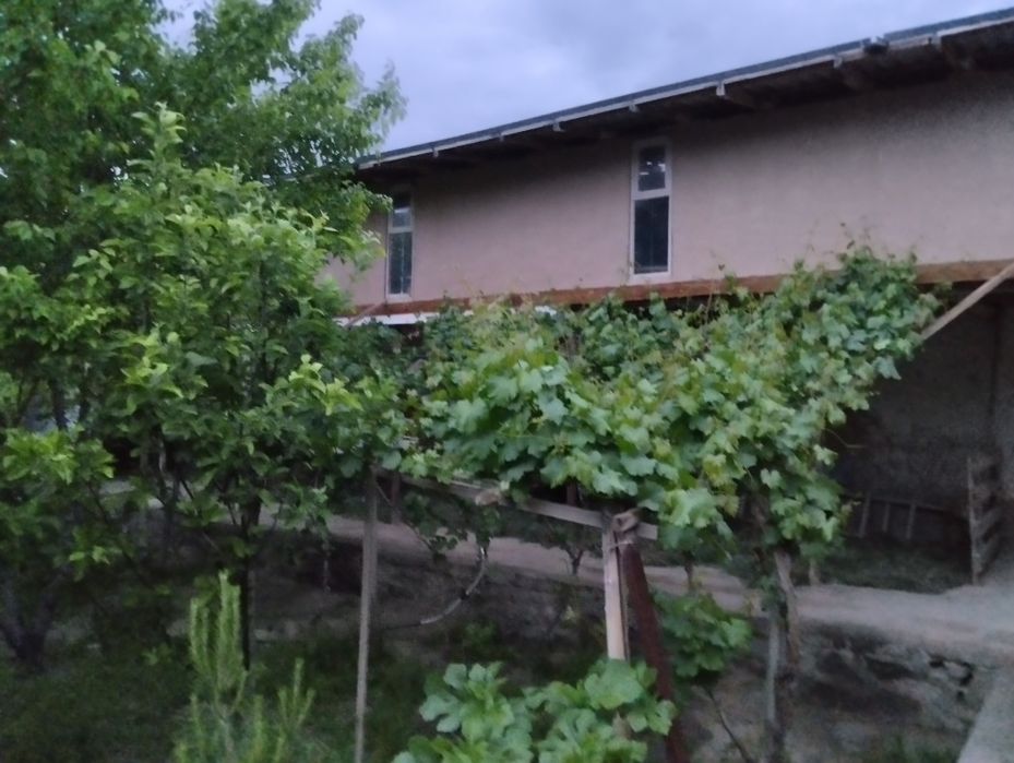 Ховли сотилади.Фарход савхозида 6 сутик