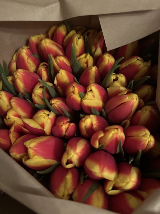 Тюльпаны к 8 марта премиум сорт