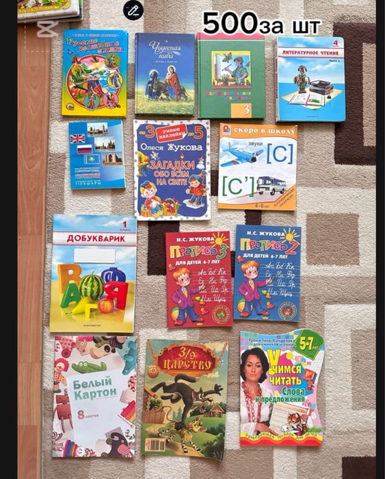Книги,тесты и прописи.