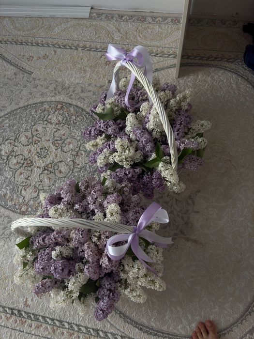 Сирень бугн стеген