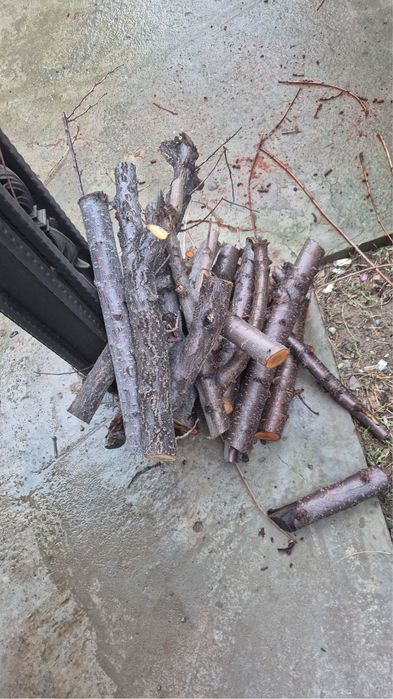 1 газель отын бар