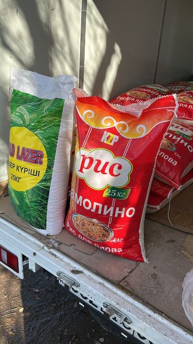 Рис универсальный сорта аланга