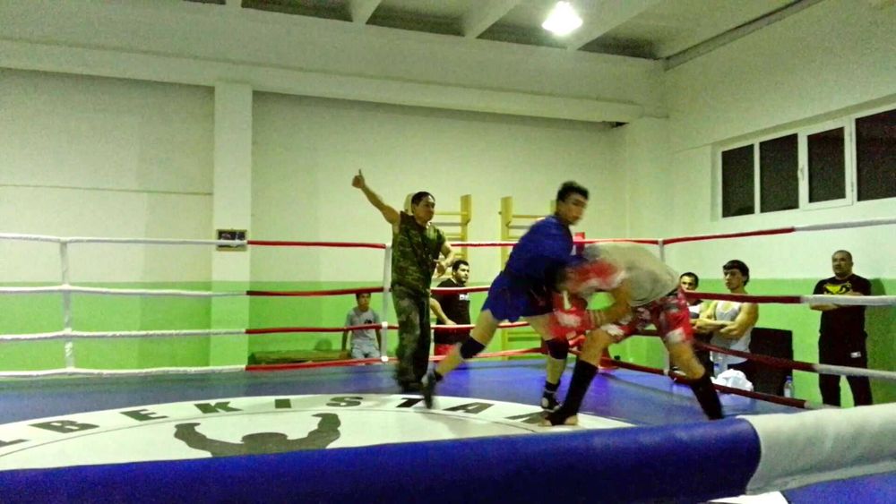 боевое САМБО - АРБ - ММА