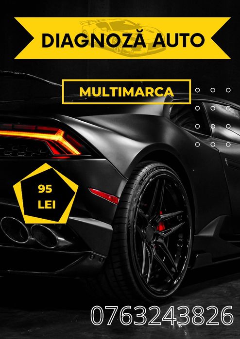 Diagnoza auto profesională/Tester auto