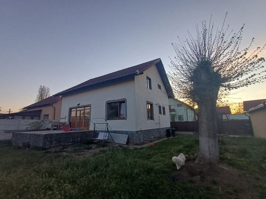 Se închiriază casa in Halchiu