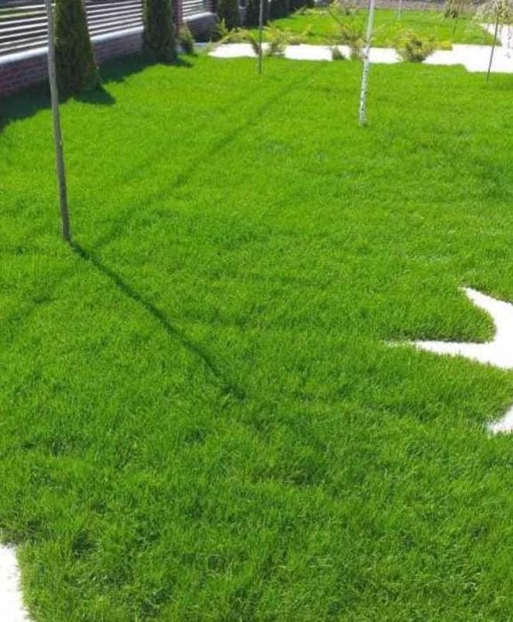 Gazon Rulouri Sisteme de Irigatie