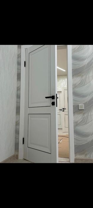 Установка дверей. Есік орнатамыз.