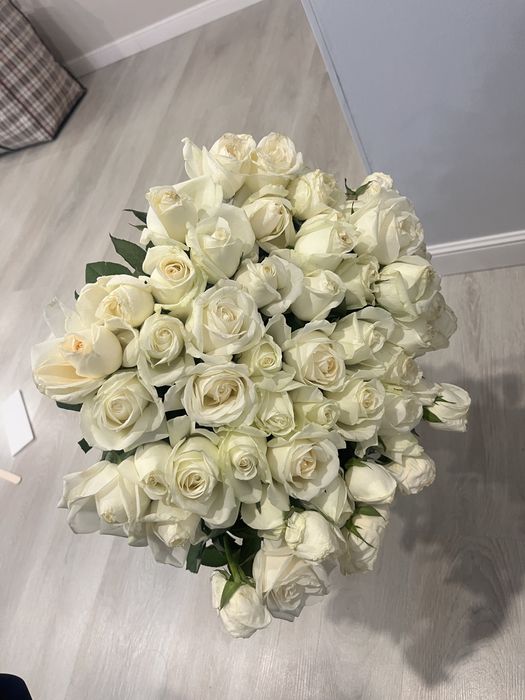 51 шт   белые розы