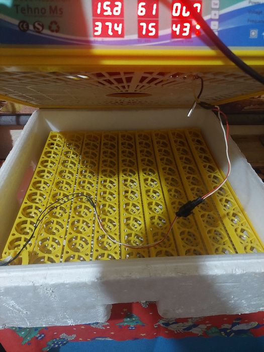 Incubator tehno ms 98