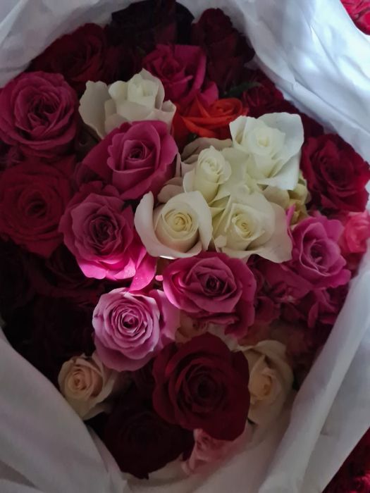 Розы ОПТОМ в пачках