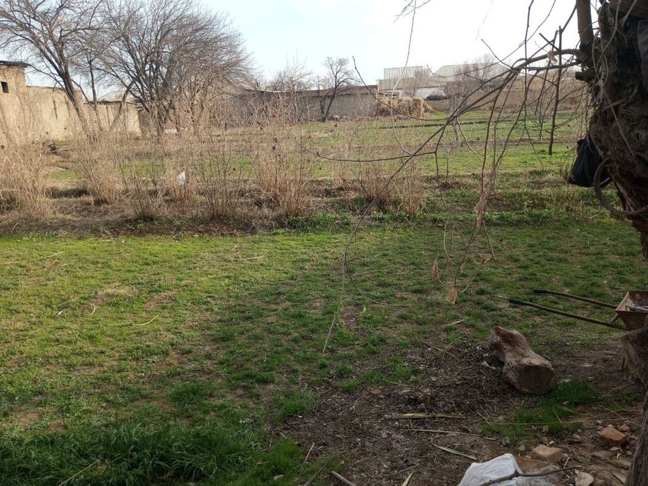 Uchastka yer sotiladi 13 sotik