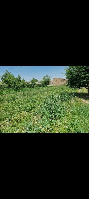 Продается дом в Паркенте. Uy sotiladi 18 sot. Samsarak