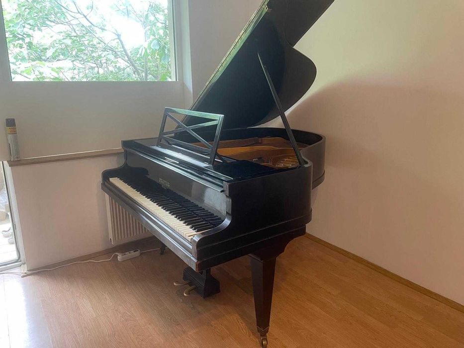 Pian Pleyel cu coada scurta