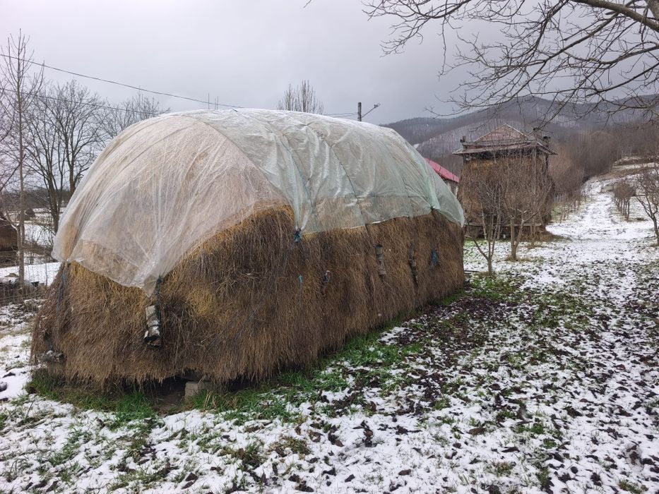 Fin si otava de vinzare