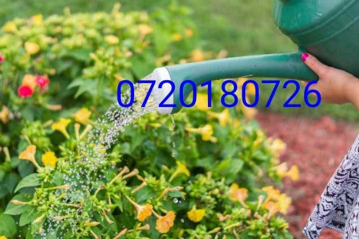 Executam foraje puturi