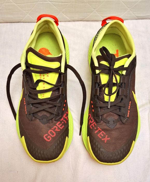 Nike Pegasus Trail 3 Gore-Tex