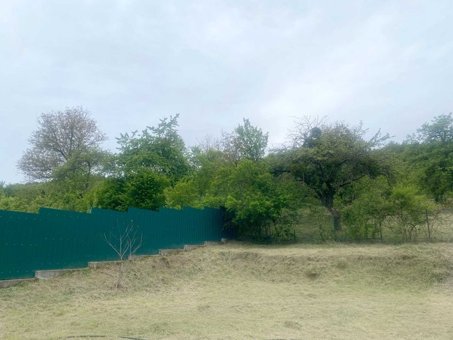 Casa Garbau (Cornesti), 25Km de Cluj Napoca, 9000 mp2, posibil afacere