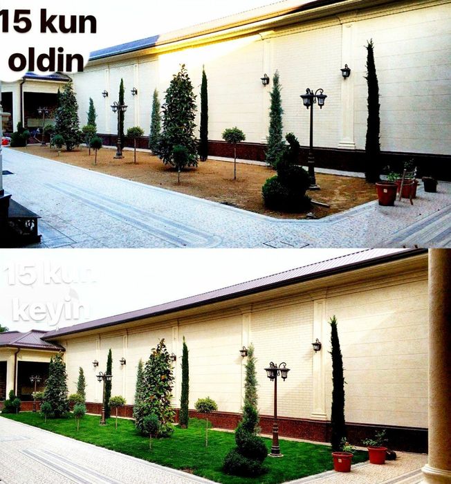 Gazon ekamiz lanshaft qilamiz